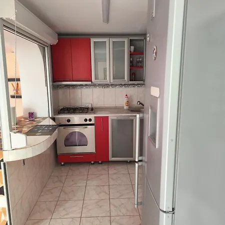 Summer Oasis In 度假居